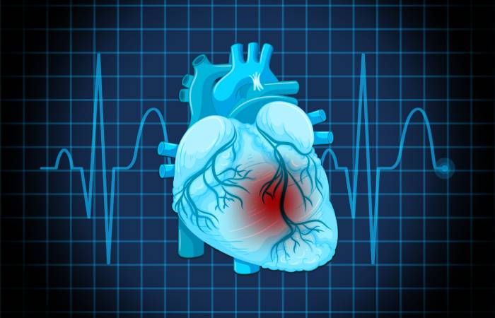 A black and blue coloured graphical representation on the background with ECG readings and a human heart with a redness shown near the middle portion.